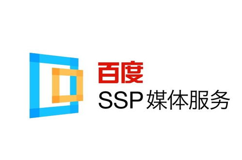 哪款蜘蛛池程序值得推荐